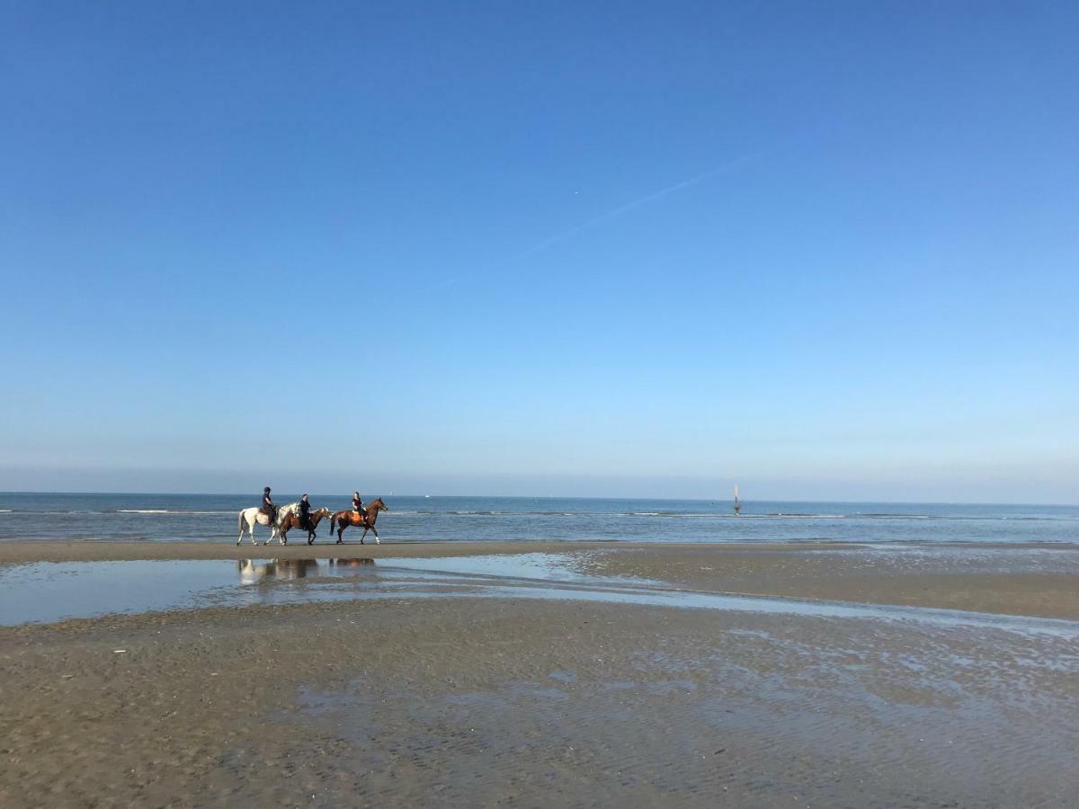 Koksijde Zeedijk Res Manh Leilighet Eksteriør bilde